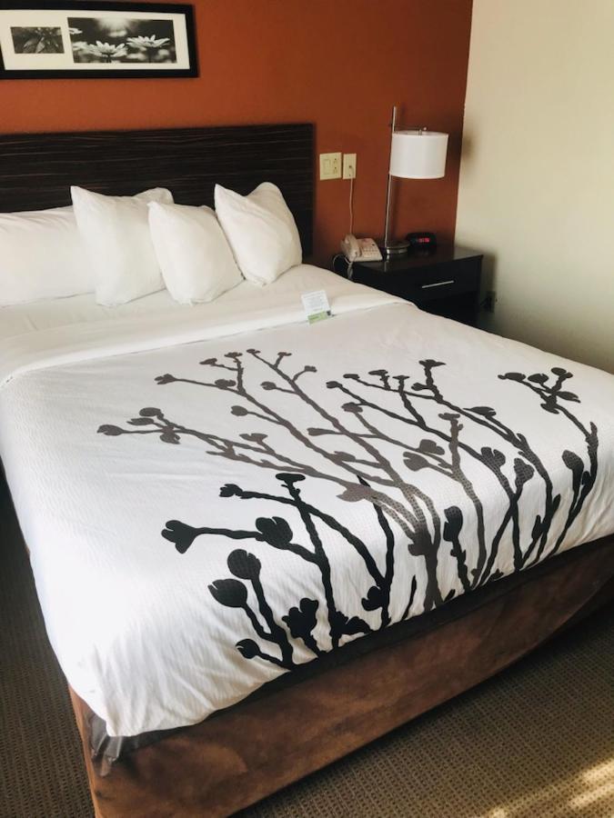 Sleep Inn North Charleston Ashley Phosphate Dış mekan fotoğraf